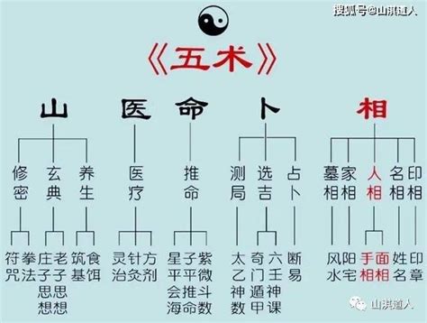 山医命卜相|《易经》中的五术